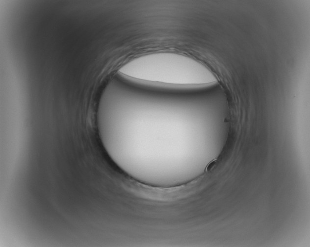 X0000113090035200908281016