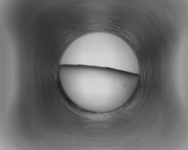 X0000113090036200908281016