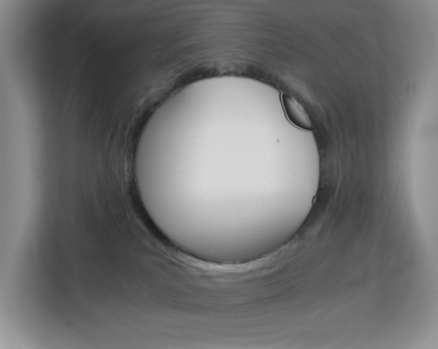 X0000113090039200908281016