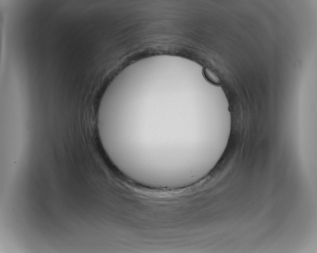 X0000113090040200908281016