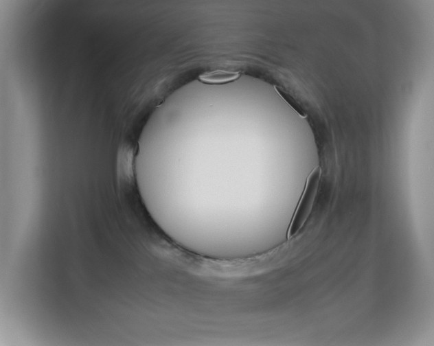 X0000113090041200908281016