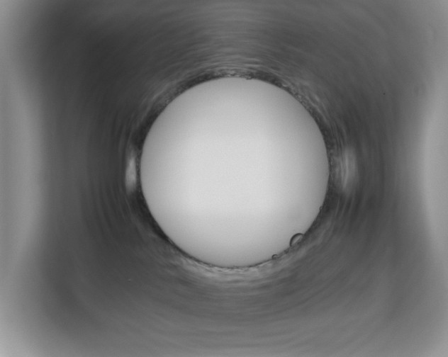 X0000113090042200908281016