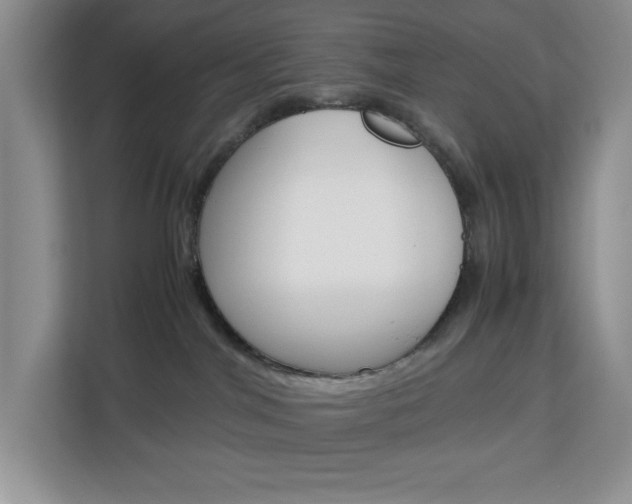 X0000113090044200908281016