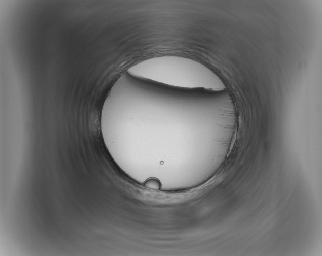 X0000113090048200908281016