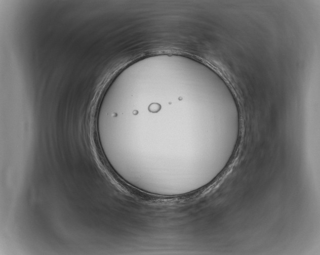 X0000113090049200908281015