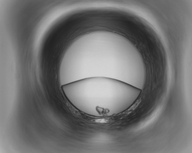 X0000113090050200908281015