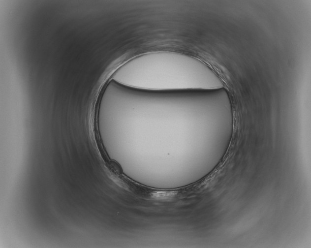 X0000113090051200908281015