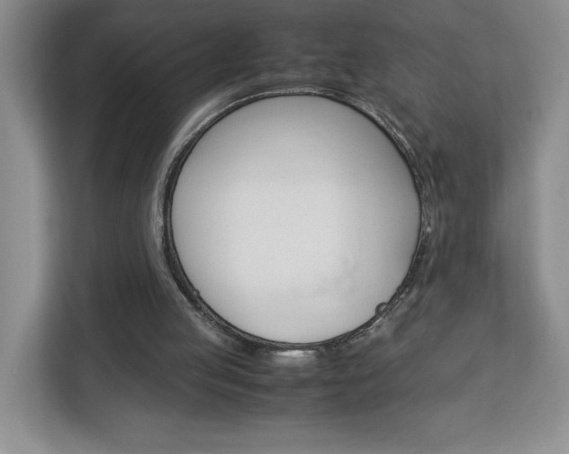 X0000113090053200908281015