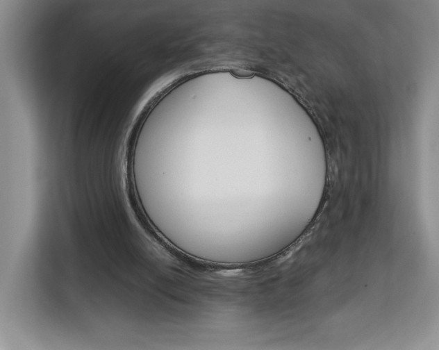 X0000113090054200908281015