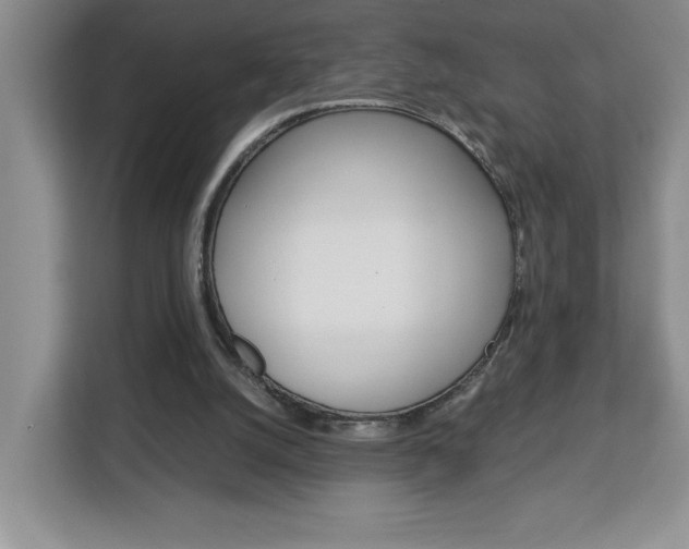 X0000113090056200908281015