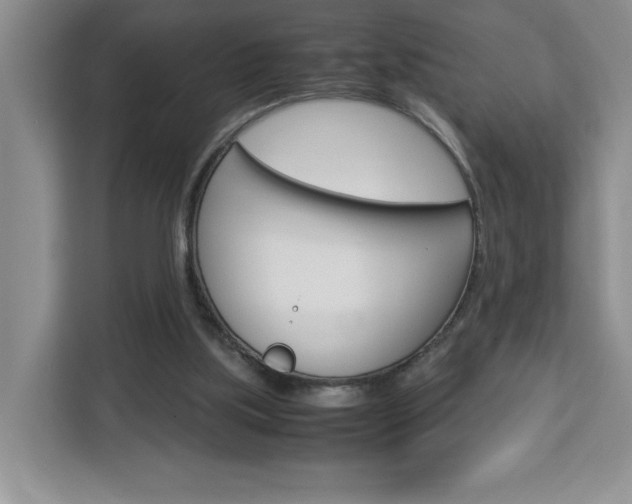 X0000113090059200908281015