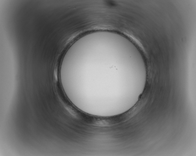 X0000113090062200908281015