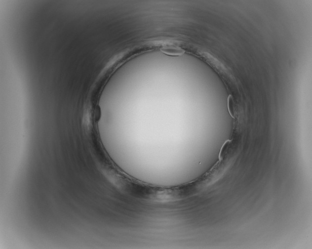 X0000113090064200908281015