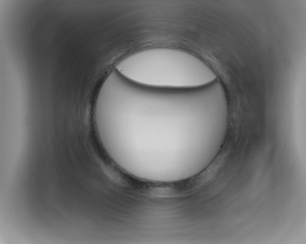 X0000113090066200908281015