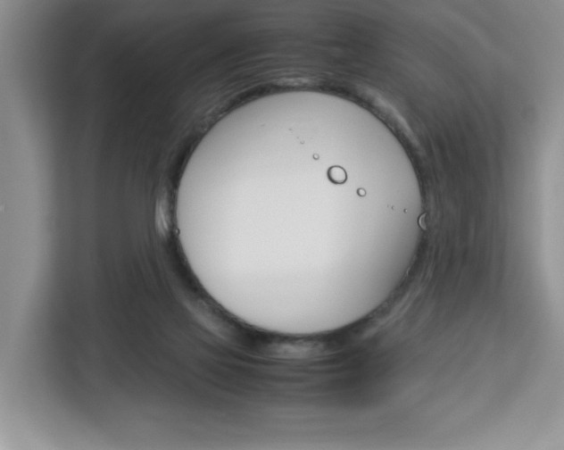 X0000113090069200908281016