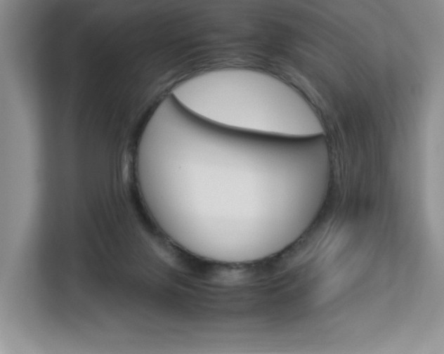 X0000113090071200908281016