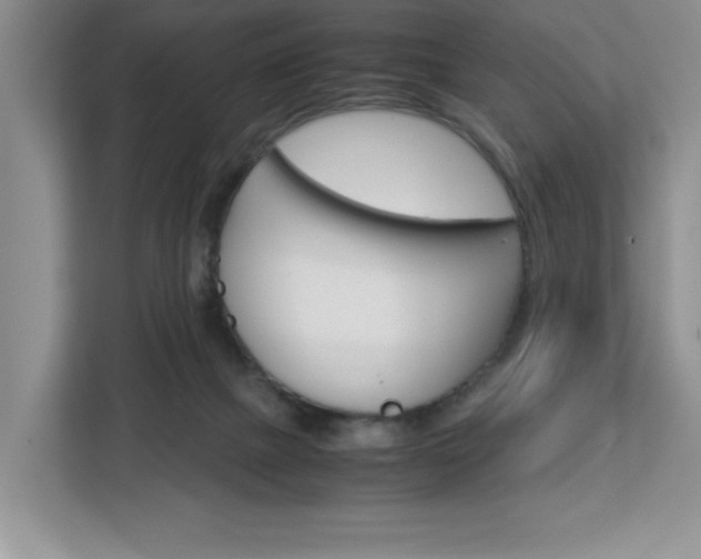 X0000113090073200908281016