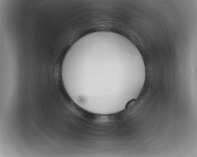 X0000113090083200908281016