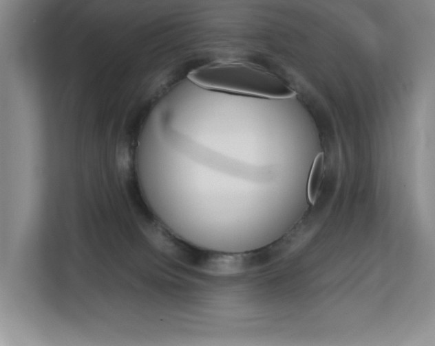 X0000113090084200908281016