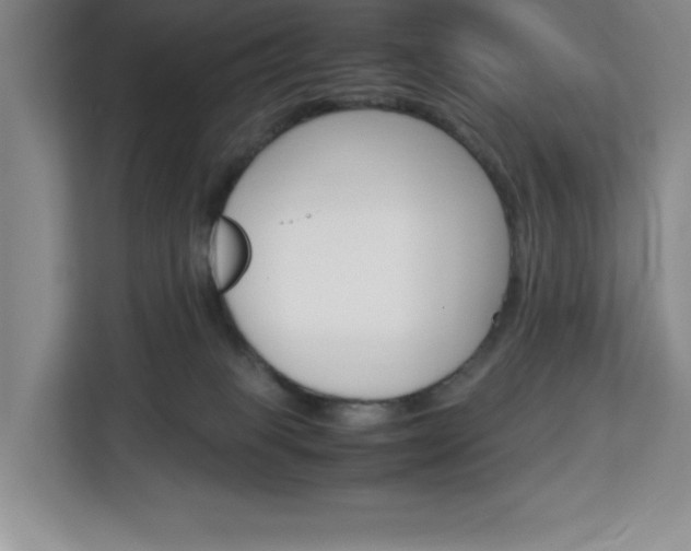X0000113090085200908281016