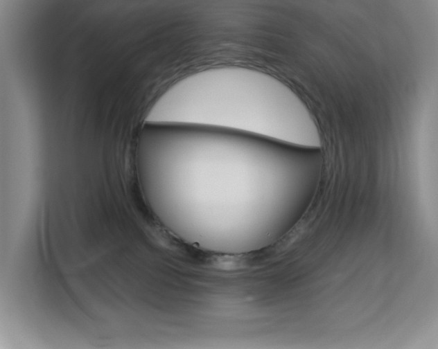 X0000113090088200908281016