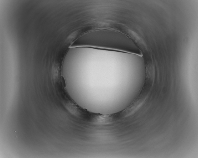 X0000113090092200908281016