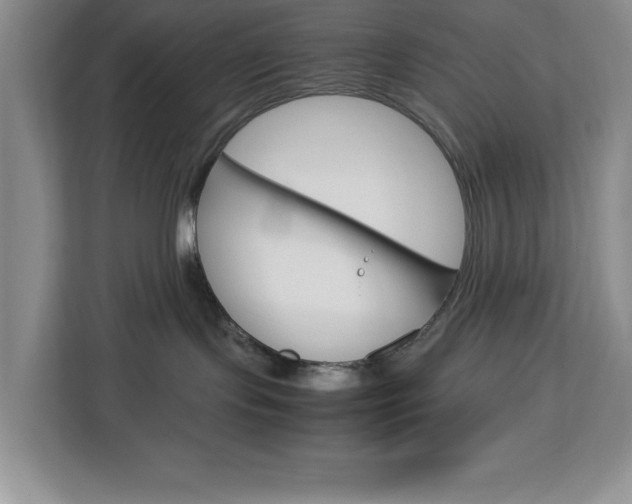 X0000113090095200908281016