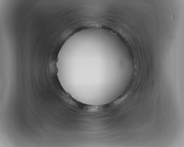 X0000113090096200908281016