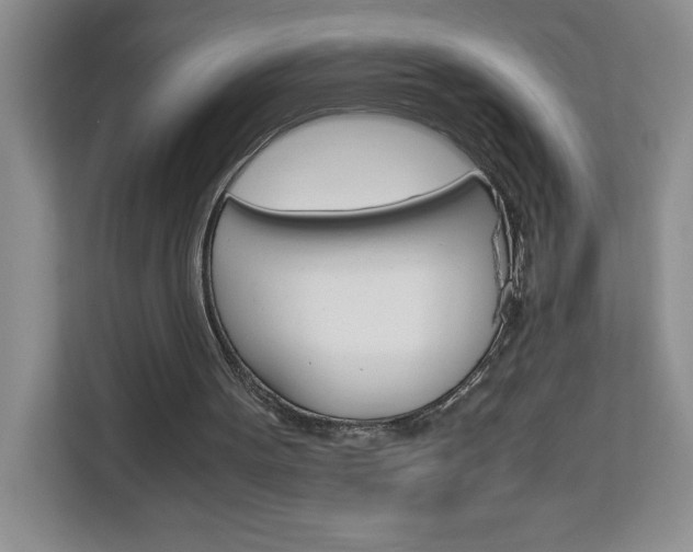 X0000113090099200908281015
