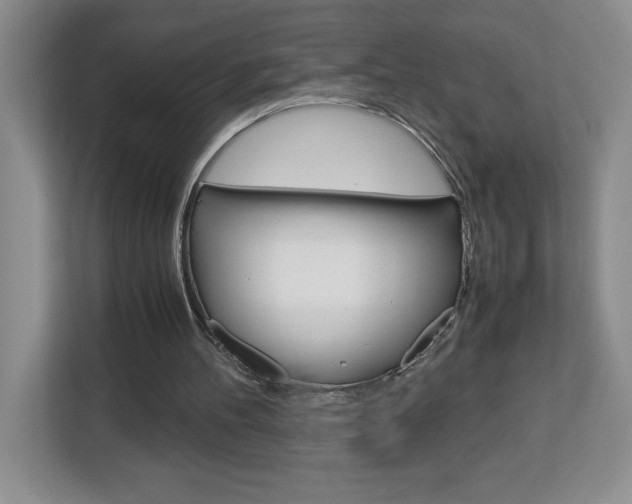 X0000113090100200908281015