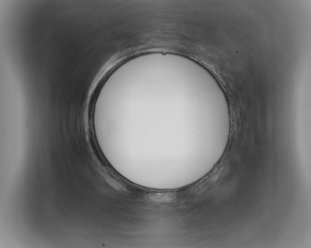 X0000113090102200908281015