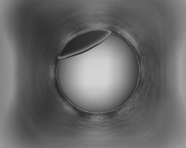 X0000113090105200908281015