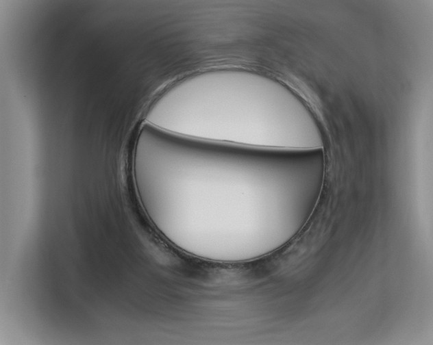 X0000113090107200908281015