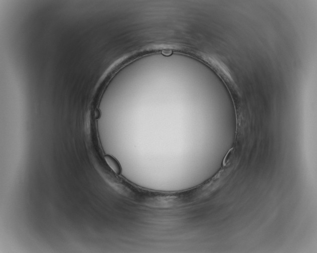 X0000113090108200908281015