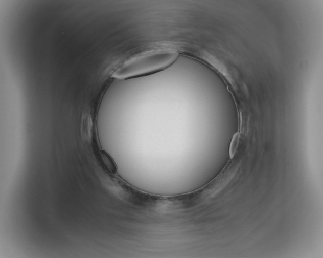 X0000113090109200908281015