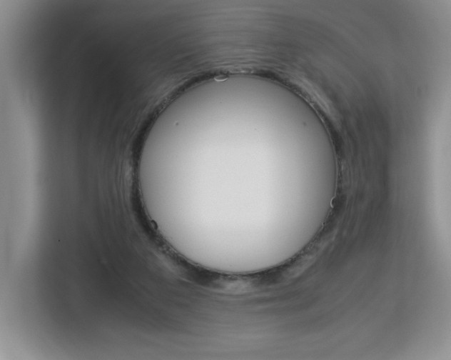 X0000113090113200908281015
