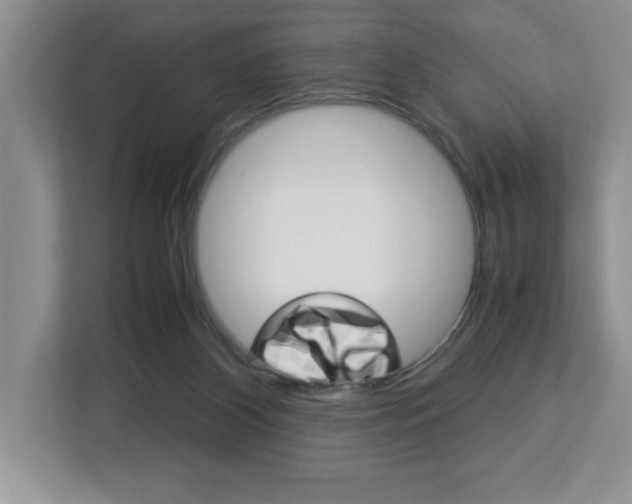 X0000113090116200908281015
