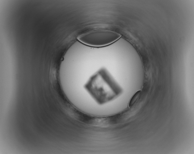 X0000113090117200908281015