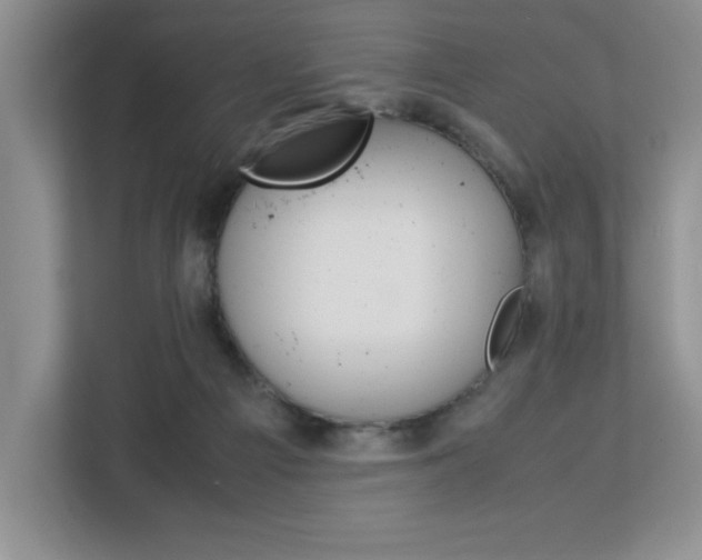 X0000113090121200908281015