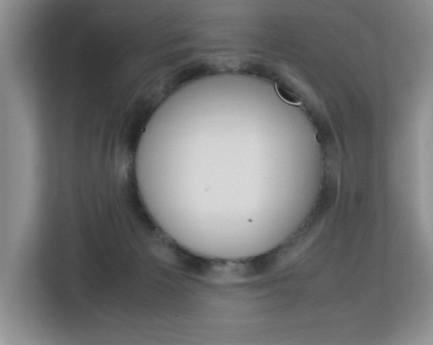 X0000113090125200908281015