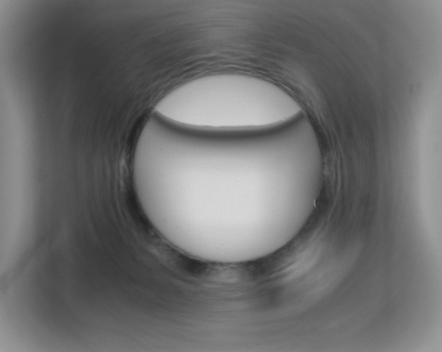 X0000113090127200908281015