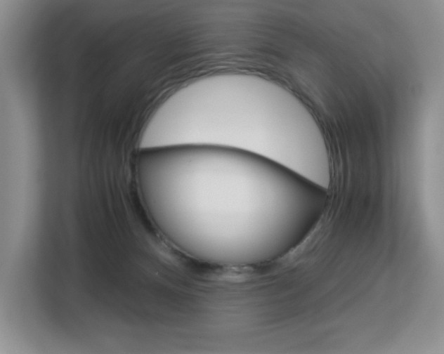 X0000113090128200908281015