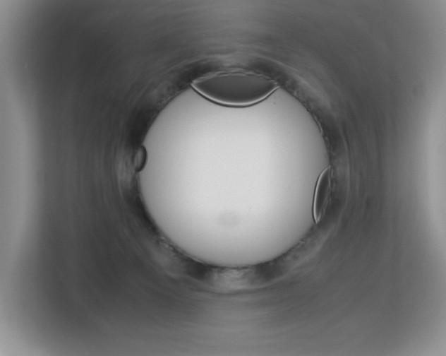 X0000113090129200908281015