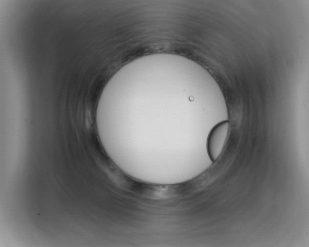 X0000113090130200908281015