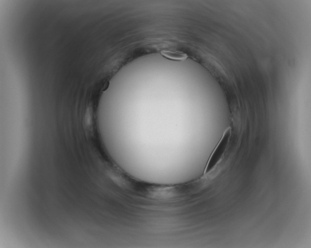 X0000113090132200908281015