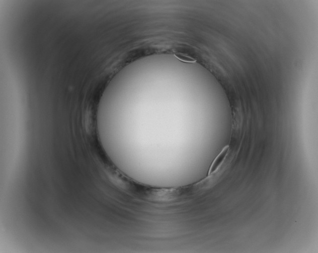 X0000113090136200908281015