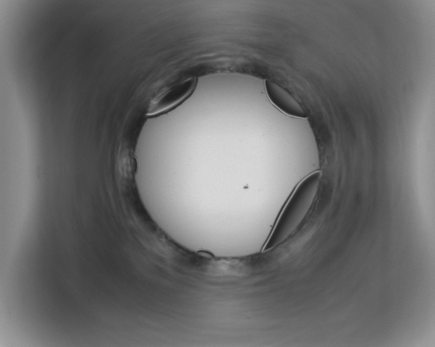 X0000113090137200908281015