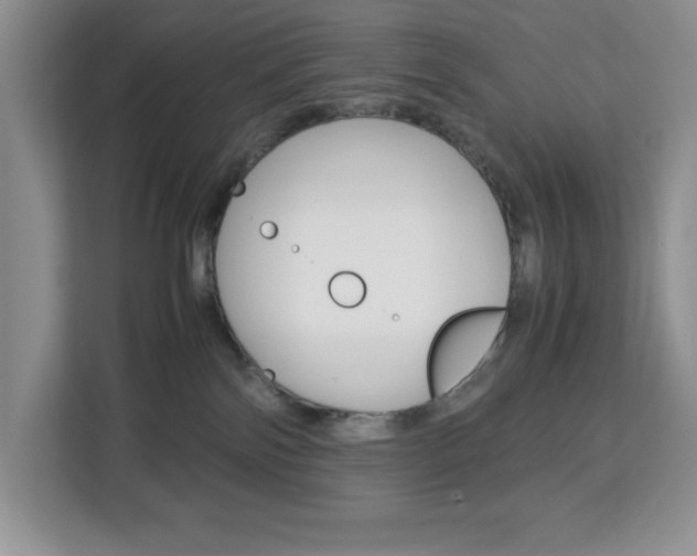 X0000113090138200908281015