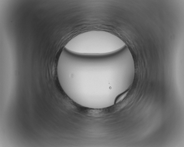 X0000113090139200908281015