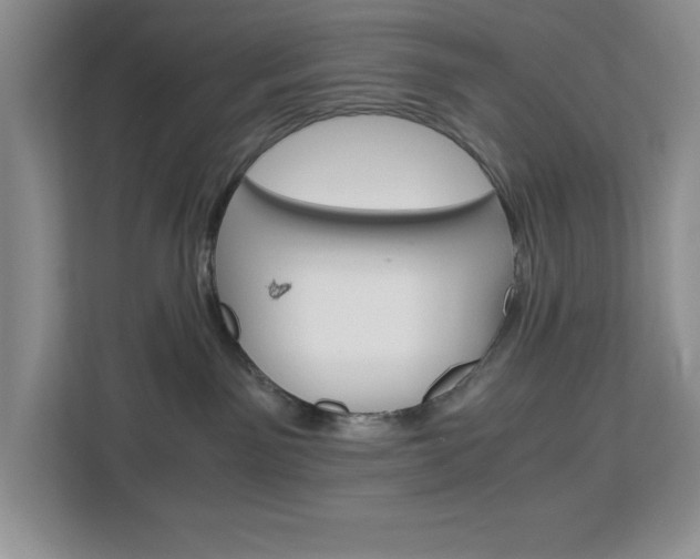 X0000113090141200908281015